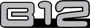 B12
