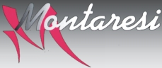 Autonoleggio Montaresi logo