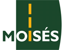 Moisés Transportes logo