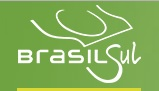 Brasil Sul Linhas Rodoviárias logo