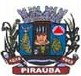 Prefeitura Municipal de Piraúba logo