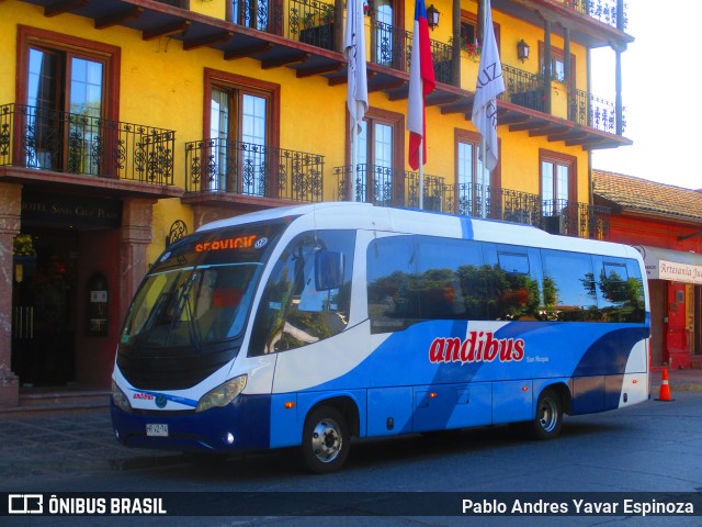 Andibus 74 na cidade de Santa Cruz, Colchagua, Libertador General Bernardo O'Higgins, Chile, por Pablo Andres Yavar Espinoza. ID da foto: 11667567.