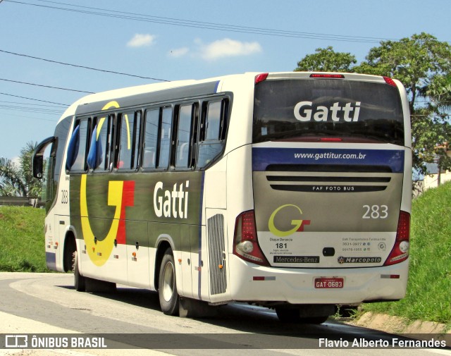 Gatti 283 na cidade de Araçariguama, São Paulo, Brasil, por Flavio Alberto Fernandes. ID da foto: 11688037.