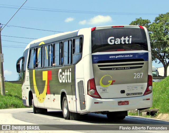 Gatti 287 na cidade de Araçariguama, São Paulo, Brasil, por Flavio Alberto Fernandes. ID da foto: 11688019.