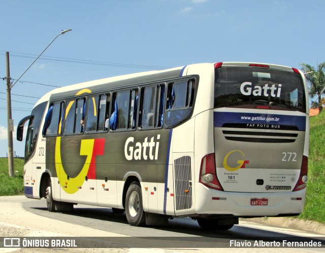 Gatti 272 na cidade de Araçariguama, São Paulo, Brasil, por Flavio Alberto Fernandes. ID da foto: 11688056.