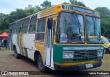 Associação de Preservação de Ônibus Clássicos 271 na cidade de Campinas, São Paulo, Brasil, por Leticia Rodrigues. ID da foto: :id.