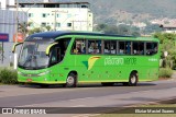 Pássaro Verde 11084 na cidade de Itabirito, Minas Gerais, Brasil, por Eliziar Maciel Soares. ID da foto: :id.