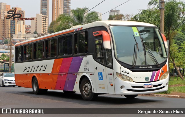 Transportadora Turística Petitto 3100 na cidade de Ribeirão Preto, São Paulo, Brasil, por Sérgio de Sousa Elias. ID da foto: 11669673.