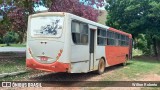 Transbus Transportes > Gávea Transportes 29062 na cidade de Miradouro, Minas Gerais, Brasil, por Wilton Roberto. ID da foto: :id.