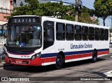 Empresa de Transportes Limousine Carioca RJ 129.025 na cidade de Rio de Janeiro, Rio de Janeiro, Brasil, por Wladmir Livramento Silva. ID da foto: :id.