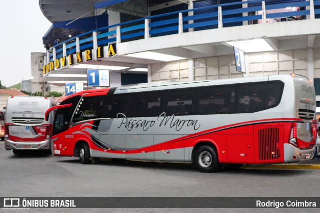 Empresa de Ônibus Pássaro Marron 6003 na cidade de Aparecida, São Paulo, Brasil, por Rodrigo Coimbra. ID da foto: 11671354.