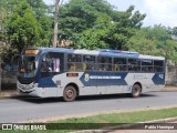 Bettania Ônibus 31172 na cidade de Belo Horizonte, Minas Gerais, Brasil, por Pablo Henrique. ID da foto: :id.