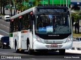 Borborema Imperial Transportes 710 na cidade de Recife, Pernambuco, Brasil, por Vinicius Fernando. ID da foto: :id.
