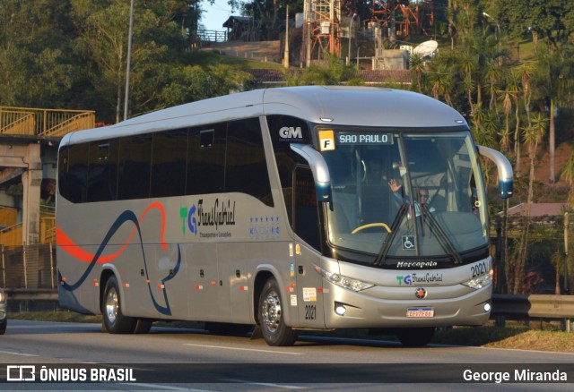 TransGabriel Transportes e Locações 2021 na cidade de Santa Isabel, São Paulo, Brasil, por George Miranda. ID da foto: 11682609.