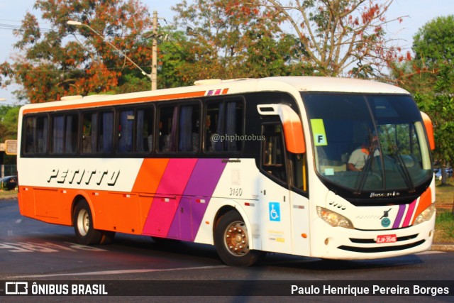 Transportadora Turística Petitto 3160 na cidade de Ribeirão Preto, São Paulo, Brasil, por Paulo Henrique Pereira Borges. ID da foto: 11684520.
