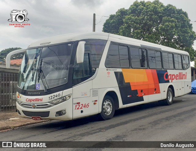 Transportes Capellini 12246 na cidade de Campinas, São Paulo, Brasil, por Danilo Augusto. ID da foto: 11771842.