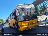 Ônibus Particulares Er x Diversion na cidade de Puente Alto, Cordillera, Metropolitana de Santiago, Chile, por Rogelio Labra Silva. ID da foto: :id.