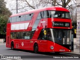 Metroline LT96 na cidade de London, Greater London, Inglaterra, por Fabricio do Nascimento Zulato. ID da foto: :id.