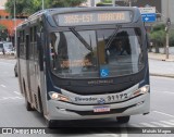 Bettania Ônibus 31172 na cidade de Belo Horizonte, Minas Gerais, Brasil, por Moisés Magno. ID da foto: :id.