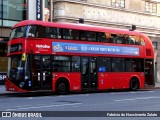 Metroline LT801 na cidade de London, Greater London, Inglaterra, por Fabricio do Nascimento Zulato. ID da foto: :id.