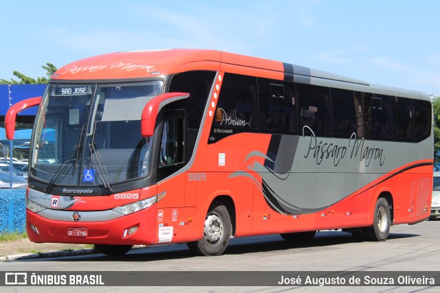 Empresa de Ônibus Pássaro Marron 5925 na cidade de São Paulo, São Paulo, Brasil, por José Augusto de Souza Oliveira. ID da foto: 11793750.