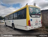 Coletivo Transportes 3633 na cidade de Caruaru, Pernambuco, Brasil, por Vinicius Palone. ID da foto: :id.