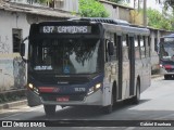 Transportes Capellini 19.176 na cidade de Campinas, São Paulo, Brasil, por Gabriel Brunhara. ID da foto: :id.