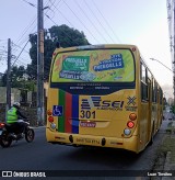 Borborema Imperial Transportes 301 na cidade de Recife, Pernambuco, Brasil, por Luan Timóteo. ID da foto: :id.