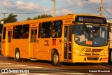 Araucária Transportes Coletivos LC298 na cidade de Curitiba, Paraná, Brasil, por Gabriel Marciniuk. ID da foto: :id.
