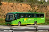 Pássaro Verde 15137 na cidade de Paraopeba, Minas Gerais, Brasil, por Gabriel Ângelo Reis. ID da foto: :id.