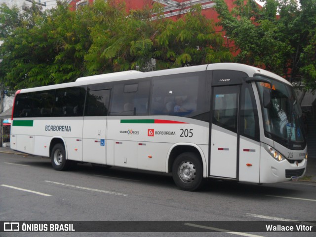 Borborema Imperial Transportes 205 na cidade de Recife, Pernambuco, Brasil, por Wallace Vitor. ID da foto: 11807001.