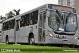 Araucária Transportes Coletivos LL314 na cidade de Curitiba, Paraná, Brasil, por Gabriel Marciniuk. ID da foto: :id.