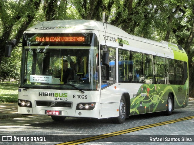 TRANSPPASS - Transporte de Passageiros 8 1029 na cidade de São Paulo, São Paulo, Brasil, por Rafael Santos Silva. ID da foto: 11811482.