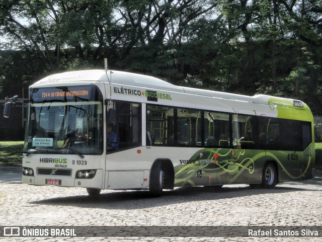 TRANSPPASS - Transporte de Passageiros 8 1029 na cidade de São Paulo, São Paulo, Brasil, por Rafael Santos Silva. ID da foto: 11811473.