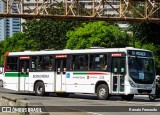 Borborema Imperial Transportes 243 na cidade de Recife, Pernambuco, Brasil, por Renato Fernando. ID da foto: :id.