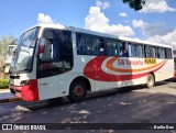 GIG Transportes 8196 na cidade de Presidente Prudente, São Paulo, Brasil, por Brollo Bus. ID da foto: :id.