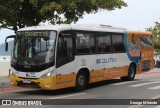 Empresa de Transporte Pgtur 1530 na cidade de Balneário Camboriú, Santa Catarina, Brasil, por George Miranda. ID da foto: :id.