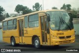 Empresa Cristo Rei > CCD Transporte Coletivo DN600 na cidade de Curitiba, Paraná, Brasil, por Osvaldo Born. ID da foto: :id.