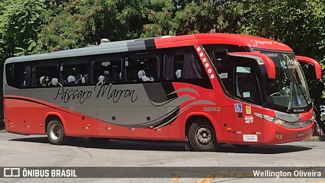 Empresa de Ônibus Pássaro Marron 5643 na cidade de São Paulo, São Paulo, Brasil, por Wellington Oliveira. ID da foto: 11822077.