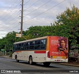 Empresa Metropolitana 734 na cidade de Recife, Pernambuco, Brasil, por Luan Cruz. ID da foto: :id.