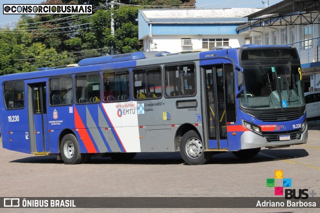 Transportes Capellini 19.230 na cidade de Valinhos, São Paulo, Brasil, por Adriano Barbosa. ID da foto: 11826901.