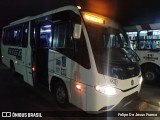 Rigoni Transportes 29 na cidade de Lapa, Paraná, Brasil, por Felipe De Jesus Franco. ID da foto: :id.
