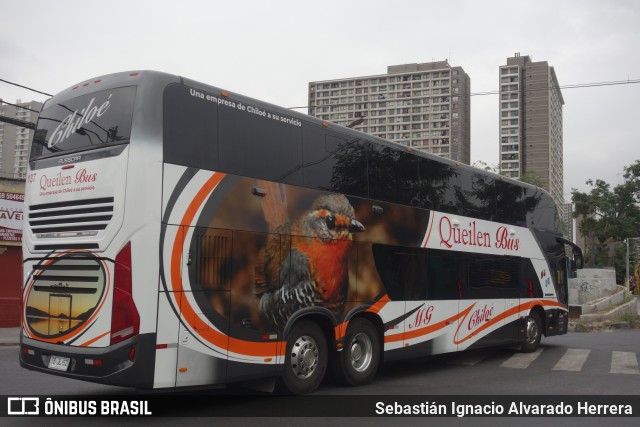 Queilen Bus 137 na cidade de Santiago, Santiago, Metropolitana de Santiago, Chile, por Sebastián Ignacio Alvarado Herrera. ID da foto: 11751050.