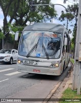 Auto Viação São José dos Pinhais EL317 na cidade de Curitiba, Paraná, Brasil, por Amauri Caetamo. ID da foto: :id.