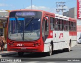 ATP - Alagoinhas Transportes Publicos 3183 na cidade de Alagoinhas, Bahia, Brasil, por José Helvécio. ID da foto: :id.
