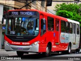 Empresa São Gonçalo 10295 na cidade de Belo Horizonte, Minas Gerais, Brasil, por César Ônibus. ID da foto: :id.