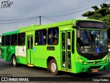 Transjuatuba > Stilo Transportes 85042 na cidade de Belo Horizonte, Minas Gerais, Brasil, por César Ônibus. ID da foto: :id.