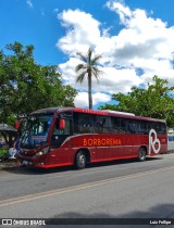 Borborema Imperial Transportes 2312 na cidade de Ribeirão, Pernambuco, Brasil, por Luiz Fellipe. ID da foto: :id.