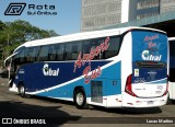 Citral Transporte e Turismo 908 na cidade de Porto Alegre, Rio Grande do Sul, Brasil, por Lucas Martins. ID da foto: :id.