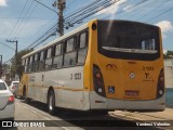 Viação Metrópole Paulista - Zona Leste 3 1333 na cidade de São Paulo, São Paulo, Brasil, por Vanderci Valentim. ID da foto: :id.